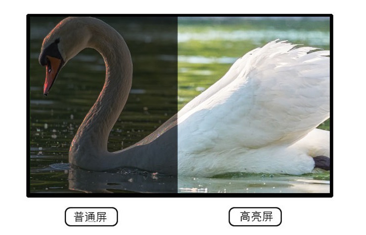 高亮屏.jpg 高亮屏.jpg